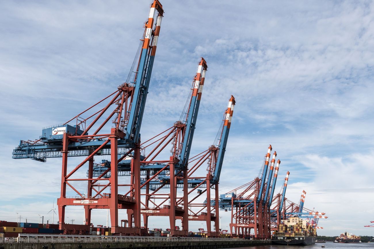 Gantry cranes standing over a container quay