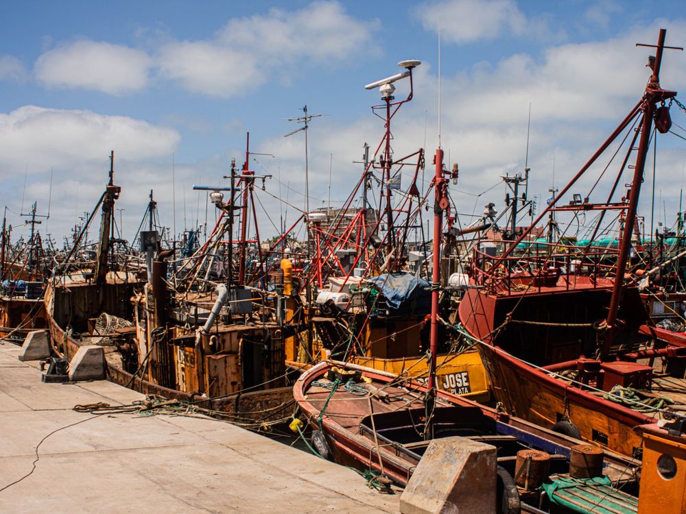 Fishing fleet moored along a working quay